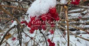 Дача 40м², 1-этажный, участок 8 сот.  