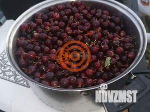 Дом 20м&sup2;, 1-этажный, участок 5 сот.  