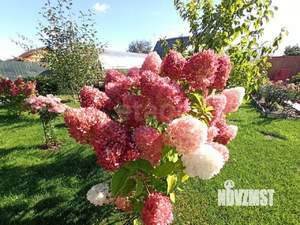 Дом 40м&sup2;, 2-этажный, участок 4 сот.  