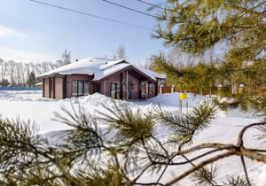 Дом 180м&sup2;, 1-этажный, участок 29 сот.  