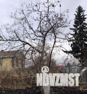 Дача 12м², 1-этажный, участок 7 сот.  