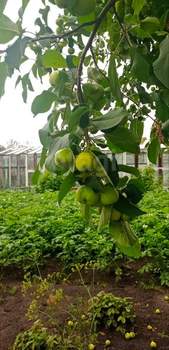 Дом 251м&sup2;, 2-этажный, участок 10 сот.  