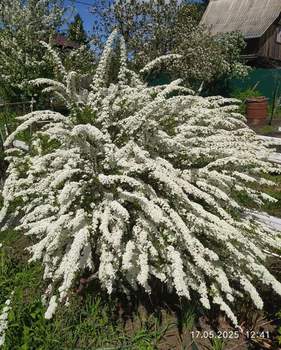 Дом 40м², 2-этажный, участок 0 сот.  