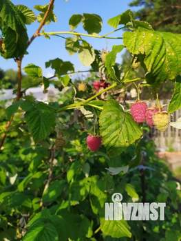 Дом 38м&sup2;, 1-этажный, участок 5 сот.  