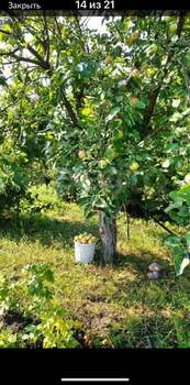 Дача 47м², 2-этажный, участок 8 сот.  