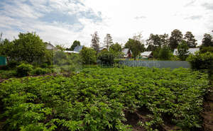 Дом 45м&sup2;, 2-этажный, участок 6 сот.  