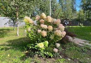 Дом 150м&sup2;, 2-этажный, участок 10 сот.  