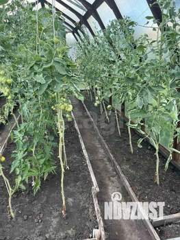 Дом 48м&sup2;, 1-этажный, участок 11 сот.  