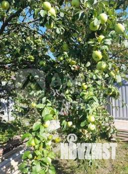 Дом 27м&sup2;, 1-этажный, участок 5 сот.  