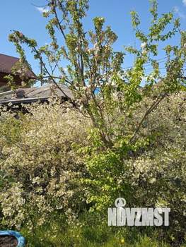 Дом 55м&sup2;, 1-этажный, участок 5 сот.  