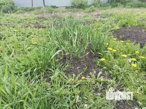 Дом 30м², 1-этажный, участок 8 сот.  