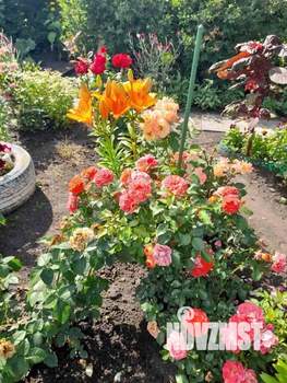 Дом 25м&sup2;, 1-этажный, участок 9 сот.  