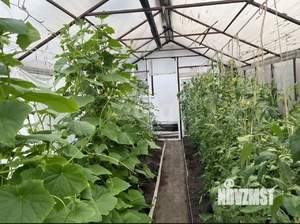 Дом 62м², 1-этажный, участок 6 сот.  