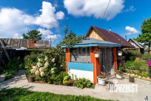 Дом 46м&sup2;, 1-этажный, участок 4 сот.  