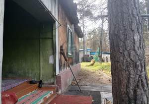 Дом 61м², 2-этажный, участок 13 сот.  