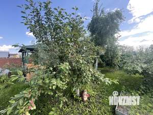 Дом 33м&sup2;, 1-этажный, участок 6 сот.  