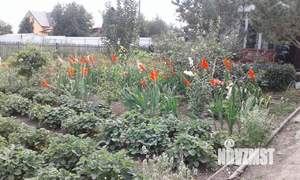 Дом 39м&sup2;, 2-этажный, участок 12 сот.  