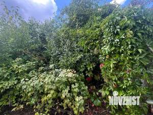 Дом 30м², 1-этажный, участок 5 сот.  