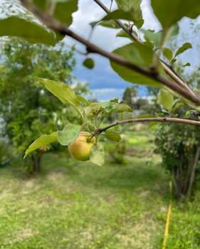 Дом 70м&sup2;, 2-этажный, участок 5 сот.  