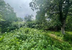 Дом 51м&sup2;, 1-этажный, участок 13 сот.  