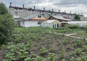 Дом 62м&sup2;, 1-этажный, участок 6 сот.  