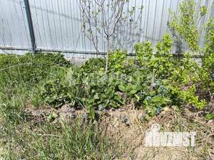 Дом 21м², 2-этажный, участок 5 сот.  