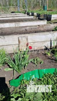 Дом 28м&sup2;, 2-этажный, участок 6 сот.  