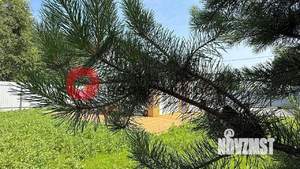Дом 55м², 1-этажный, участок 6 сот.  