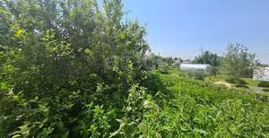 Дом 80м&sup2;, 2-этажный, участок 4 сот.  