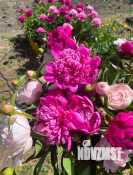 Дом 12м&sup2;, 1-этажный, участок 5 сот.  