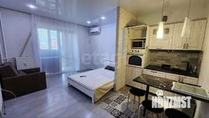 Студия квартира, на длительный срок, 26м2, 13/16 этаж