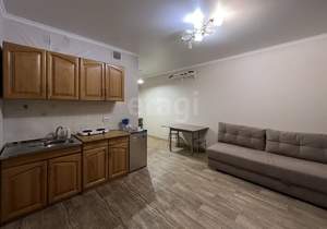 Студия квартира, на длительный срок, 25м2, 15/20 этаж