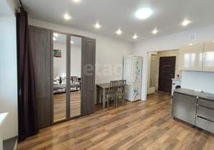 Студия квартира, на длительный срок, 24м2, 16/17 этаж