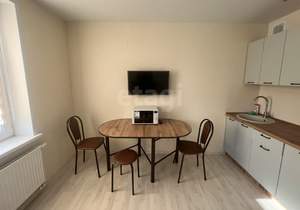 Студия квартира, на длительный срок, 28м2, 14/24 этаж