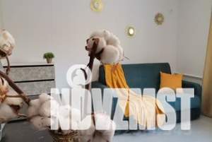 1-к квартира, посуточно, 19м2, 3/5 этаж