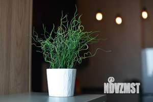 1-к квартира, посуточно, 25м2, 24/24 этаж