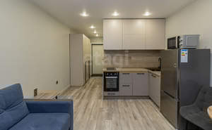 Студия квартира, на длительный срок, 21м2, 11/15 этаж