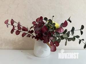 2-к квартира, посуточно, 55м2, 1/1 этаж