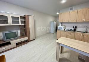 Студия квартира, на длительный срок, 24м2, 9/10 этаж