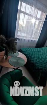 Студия квартира, посуточно, 20м2, 3/12 этаж