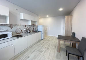 Студия квартира, на длительный срок, 26м2, 13/16 этаж