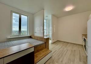 Студия квартира, на длительный срок, 27м2, 8/17 этаж