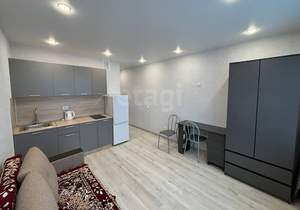 Студия квартира, на длительный срок, 20м2, 16/21 этаж