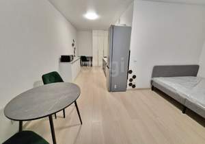 Студия квартира, на длительный срок, 30м2, 17/24 этаж