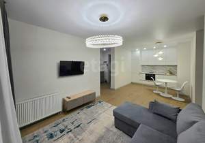 1-к квартира, на длительный срок, 60м2, 4/11 этаж