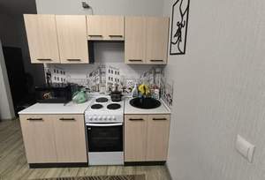 Студия квартира, на длительный срок, 27м2, 13/13 этаж