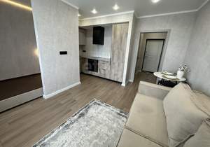 Студия квартира, на длительный срок, 27м2, 14/18 этаж