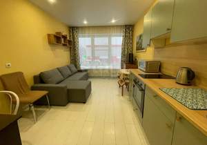 Студия квартира, на длительный срок, 22м2, 2/17 этаж