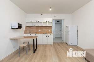 Студия квартира, на длительный срок, 25м2, 15/24 этаж