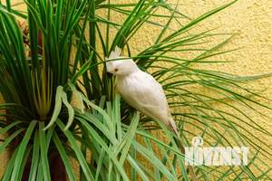 1-к квартира, посуточно, 36м2, 5/10 этаж